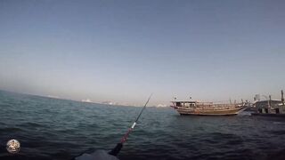 Doha Corniche — shore jigging: рыбалка в День отца удалась?