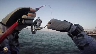 Doha Corniche — shore jigging: рыбалка в День отца удалась?