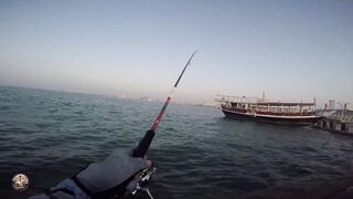 Doha Corniche — shore jigging: рыбалка в День отца удалась?