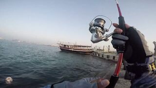 Doha Corniche — shore jigging: рыбалка в День отца удалась?