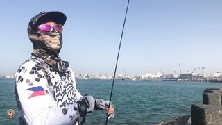 Doha Corniche — shore jigging: рыбалка в День отца удалась?
