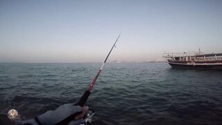 Doha Corniche — shore jigging: рыбалка в День отца удалась?
