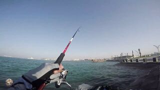 Doha Corniche — shore jigging: рыбалка в День отца удалась?