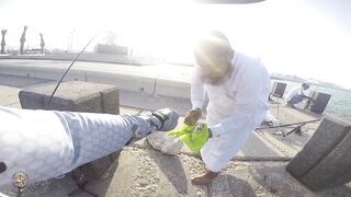 Doha Corniche — shore jigging: рыбалка в День отца удалась?