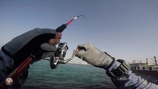 Doha Corniche — shore jigging: рыбалка в День отца удалась?