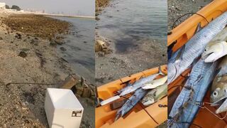 Доха, Qatar: морская рыбалка в городе, рабочие точки на набережной Корниш