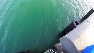 Doha Corniche: «bait and wait» — барракуда на живца у парапета