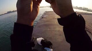 Doha Corniche: «bait and wait» — барракуда на живца у парапета