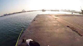 Doha Corniche: «bait and wait» — барракуда на живца у парапета