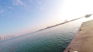 Doha Corniche: «bait and wait» — барракуда на живца у парапета