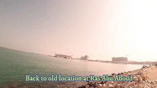 Doha Corniche: «bait and wait» — барракуда на живца у парапета