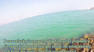 Doha Corniche: «bait and wait» — барракуда на живца у парапета