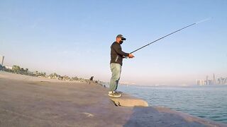 Doha Corniche: «bait and wait» — барракуда на живца у парапета