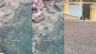 The Pearl, Doha - крошечная рыбка у набережной, на что она клюет?