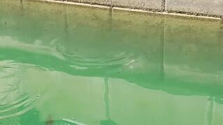 The Pearl, Qatar — red/white snapper: снасти и глубины у бровки