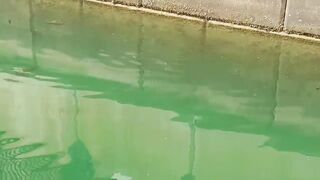 The Pearl, Qatar — red/white snapper: снасти и глубины у бровки