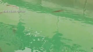 The Pearl, Qatar — red/white snapper: снасти и глубины у бровки