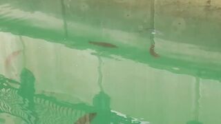 The Pearl, Qatar — red/white snapper: снасти и глубины у бровки