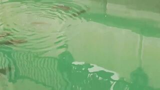 The Pearl, Qatar — red/white snapper: снасти и глубины у бровки