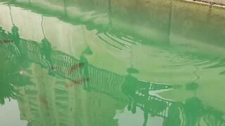 The Pearl, Qatar — red/white snapper: снасти и глубины у бровки