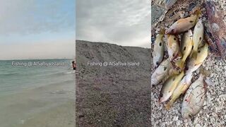 Safliya Island — fishing day: где встать на якорь у банки?