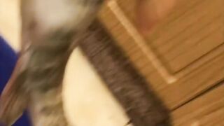 Safliya Island - выезд PG Sailor: морская рыбалка у свала работает?