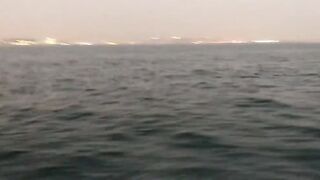 Safliya Island - выезд PG Sailor: морская рыбалка у свала работает?