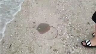 Al Safliya Island, Doha — лапу-лапу 5 кг: морская рыбалка в Катаре!