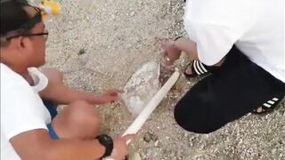 Al Safliya Island, Doha — лапу-лапу 5 кг: морская рыбалка в Катаре!