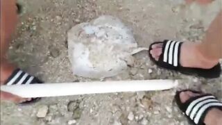 Al Safliya Island, Doha — лапу-лапу 5 кг: морская рыбалка в Катаре!