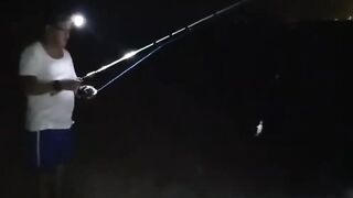 Al Safliya Island, Doha — лапу-лапу 5 кг: морская рыбалка в Катаре!