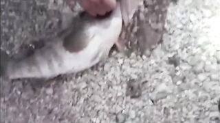 Al Safliya Island, Doha — лапу-лапу 5 кг: морская рыбалка в Катаре!