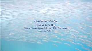 Иордания, Акаба — Тала Бей под водой: где искать хищника?