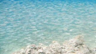 Иордания, Акаба — Тала Бей под водой: где искать хищника?