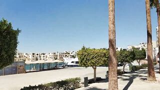 Tala Bay, Aqaba — пляж и марина: где клюет у волнореза?