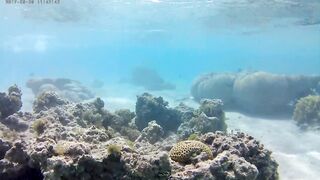 Акаба, Tala Bay — дикий пляж! Часть 2, что с клевом ночью?