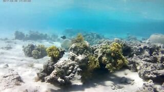 Акаба, Tala Bay — дикий пляж! Часть 2, что с клевом ночью?