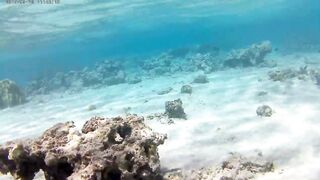 Акаба, Tala Bay — дикий пляж! Часть 2, что с клевом ночью?