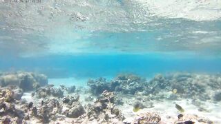 Акаба, Tala Bay — дикий пляж! Часть 2, что с клевом ночью?