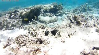 Акаба, Tala Bay — дикий пляж! Часть 2, что с клевом ночью?