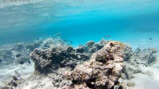 Акаба, Tala Bay — дикий пляж! Часть 2, что с клевом ночью?