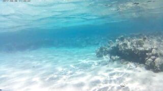 Акаба, Tala Bay — дикий пляж! Часть 2, что с клевом ночью?