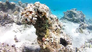 Акаба, Tala Bay — дикий пляж! Часть 2, что с клевом ночью?