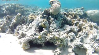 Акаба, Tala Bay — дикий пляж! Часть 2, что с клевом ночью?