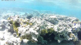 Акаба, Tala Bay — дикий пляж! Часть 2, что с клевом ночью?