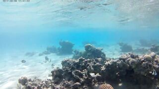 Акаба, Tala Bay — дикий пляж! Часть 2, что с клевом ночью?