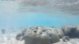 Акаба, Tala Bay — дикий пляж! Часть 2, что с клевом ночью?