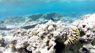 Акаба, Tala Bay — дикий пляж! Часть 1, точки для вечерней ловли