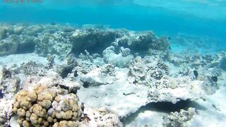 Акаба, Tala Bay — дикий пляж! Часть 1, точки для вечерней ловли