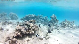 Акаба, Tala Bay — дикий пляж! Часть 1, точки для вечерней ловли